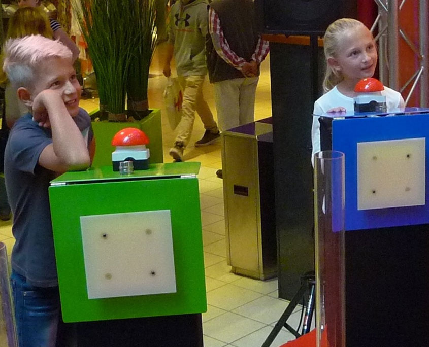 EC-Standbild-Buzzer